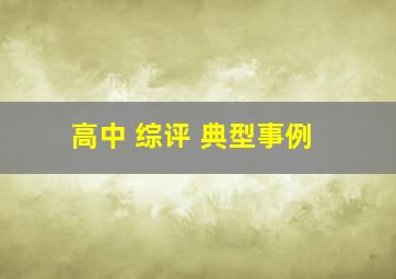 高中 综评 典型事例